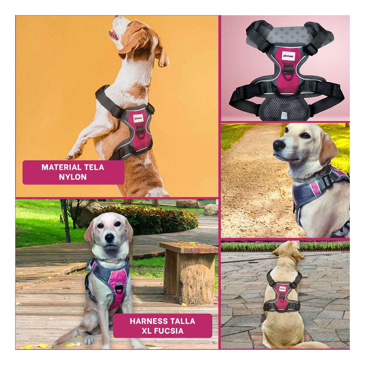 ARNES PARA PERRO AJUSTABLE CON MATERIAL RESISTENTE Y HEBILLA SEGURA Y+POST IT - 5