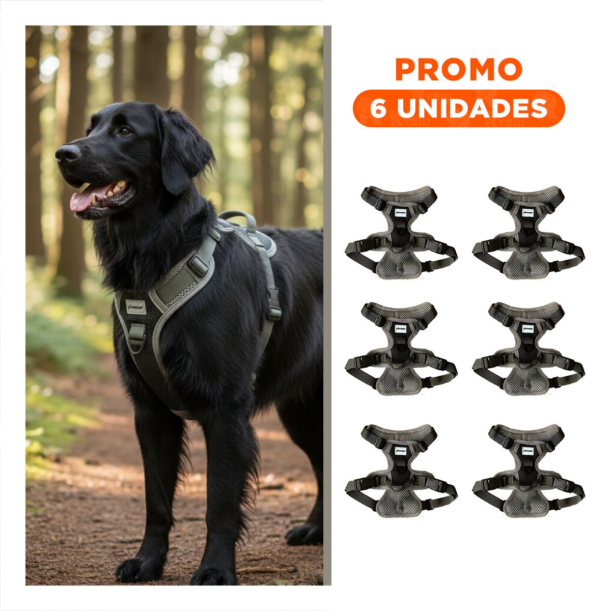 PACK6 ARNES PARA PERRO NEGRO TALLA L CON DISEÑO MODERNO Y FACIL DE AJUSTAR - 1