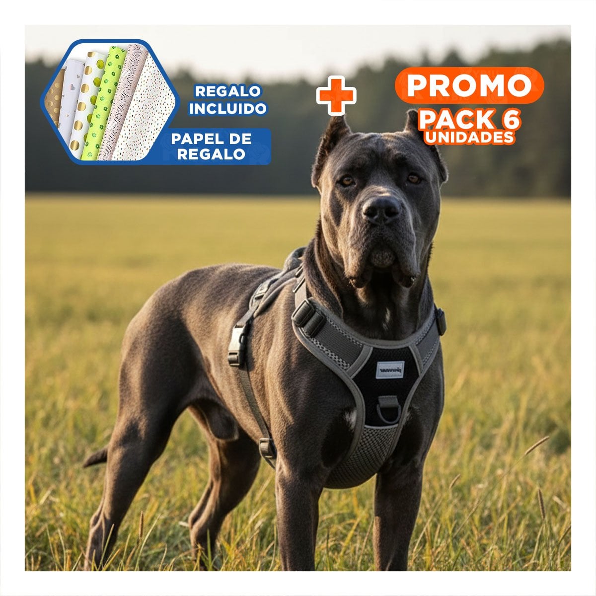 PACK6 ELEMENTO PARA PERRO CON AJUSTE SEGURO Y MATERIAL DURADERO Y+PAPEL REGALO - 1