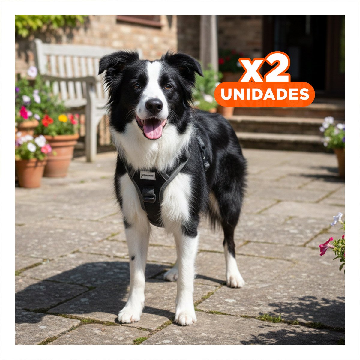 PACK2 PROTECTOR PARA PERRO NEGRO TALLA M CON AJUSTE SEGURO Y TRANSPIRABLE Y+REGALO STICKER - 1