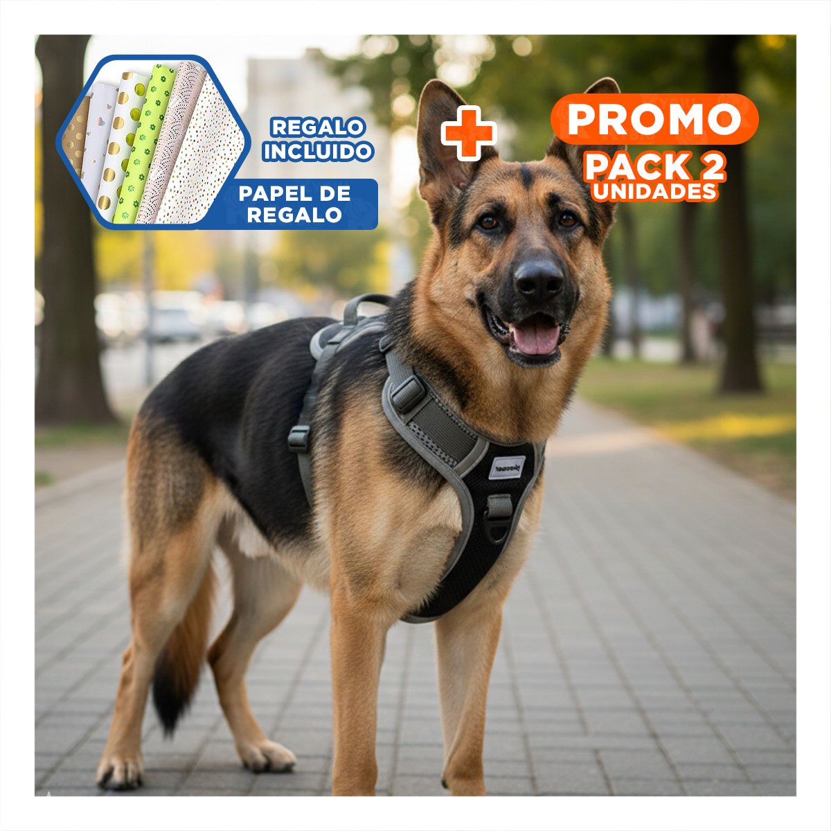 PACK2 ARNES PARA PERRO NEGRO TALLA L CON HEBILLAS SEGURAS Y AJUSTE RAPIDO Y+PAPEL REGALO - 1