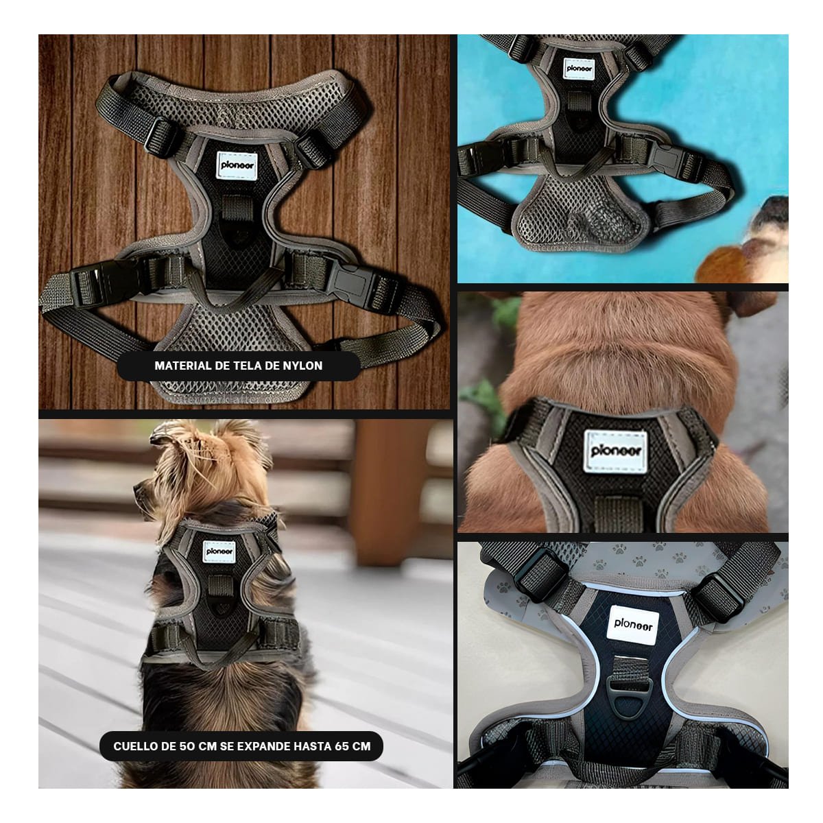 PACK2 ARNES PARA PERRO NEGRO TALLA L CON HEBILLAS SEGURAS Y AJUSTE RAPIDO Y+PAPEL REGALO - 3