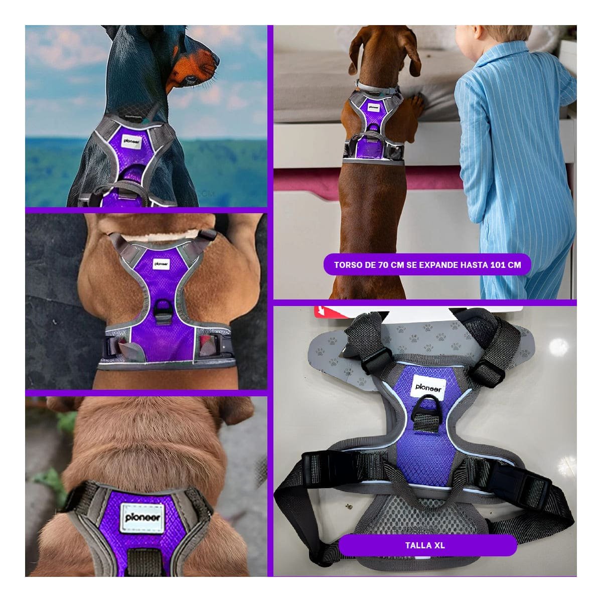 CHALECO PARA PERRO MORADO TALLA XL SEGURO Y CONFORTABLE Y+POST IT - 5