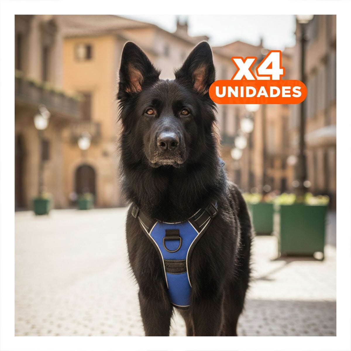 PACK4 CORREA CON PECHERA PARA PERRO AZUL TALLA L AJUSTABLE Y COMODA - 1