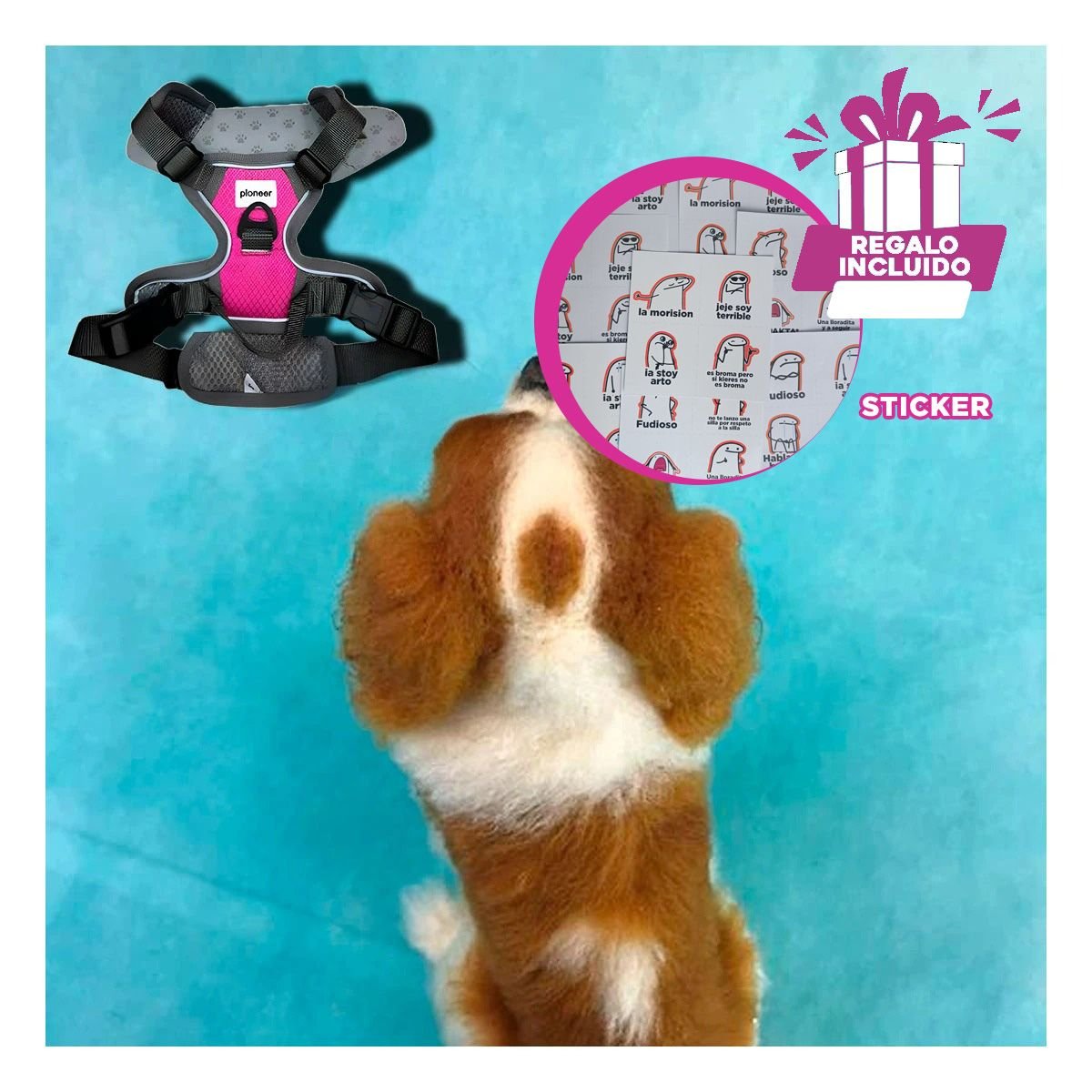 CHALECO LIGERO FUCSIA PARA PERRO DE PASEO Y EJERCICIO DIARIO Y+REGALO STICKER - 1