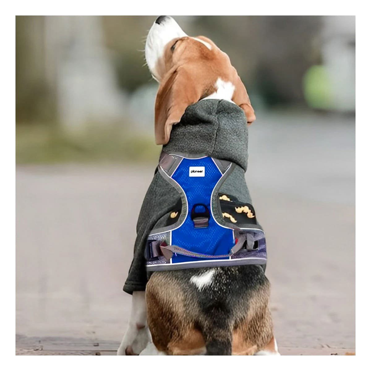PACK2 CHALECO COMODO PARA PERRO AZUL TALLA L AJUSTE PERFECTO PARA PASEO - 3