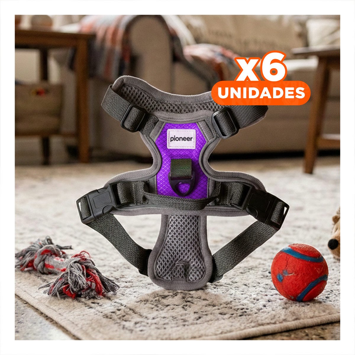 PACK6 CORREA AJUSTABLE PARA PERRO MORADO TALLA M LIGERA Y RESISTENTE Y+REGALO STICKER - 1
