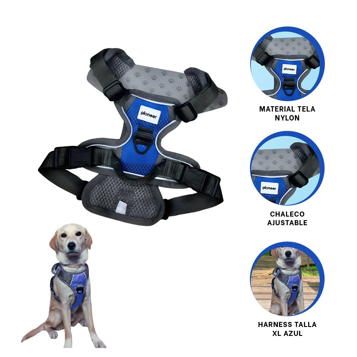 ARNES PARA PERRO AZUL TALLA XL DURADERO Y CONFORTABLE - 3