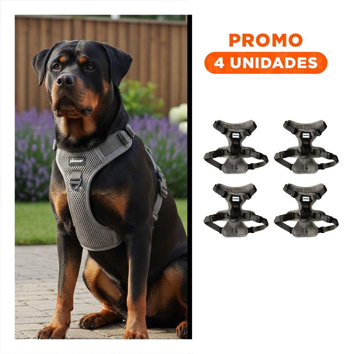 PACK4 AJUSTE PARA PERRO CON PECHERA ERGONÓMICA Y USO DIARIO FACIL Y+REGALO STICKER - 1