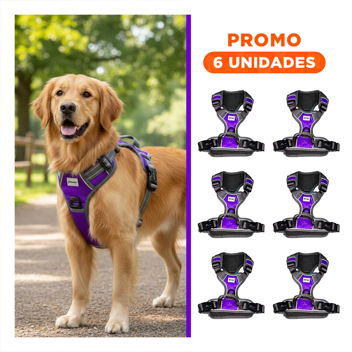 PACK6 CORREA PARA PERRO MORADO TALLA XL CON PECHERA AJUSTABLE - 1
