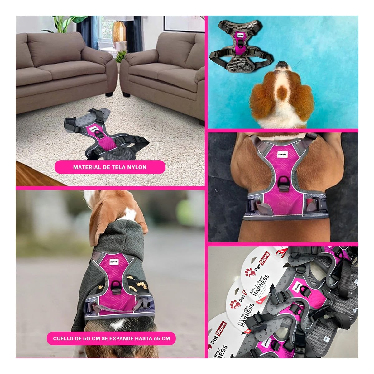 CORREA PARA PERRO FUCSIA TALLA L PECHERA CON DISEÑO MODERNO Y+POST IT - 1