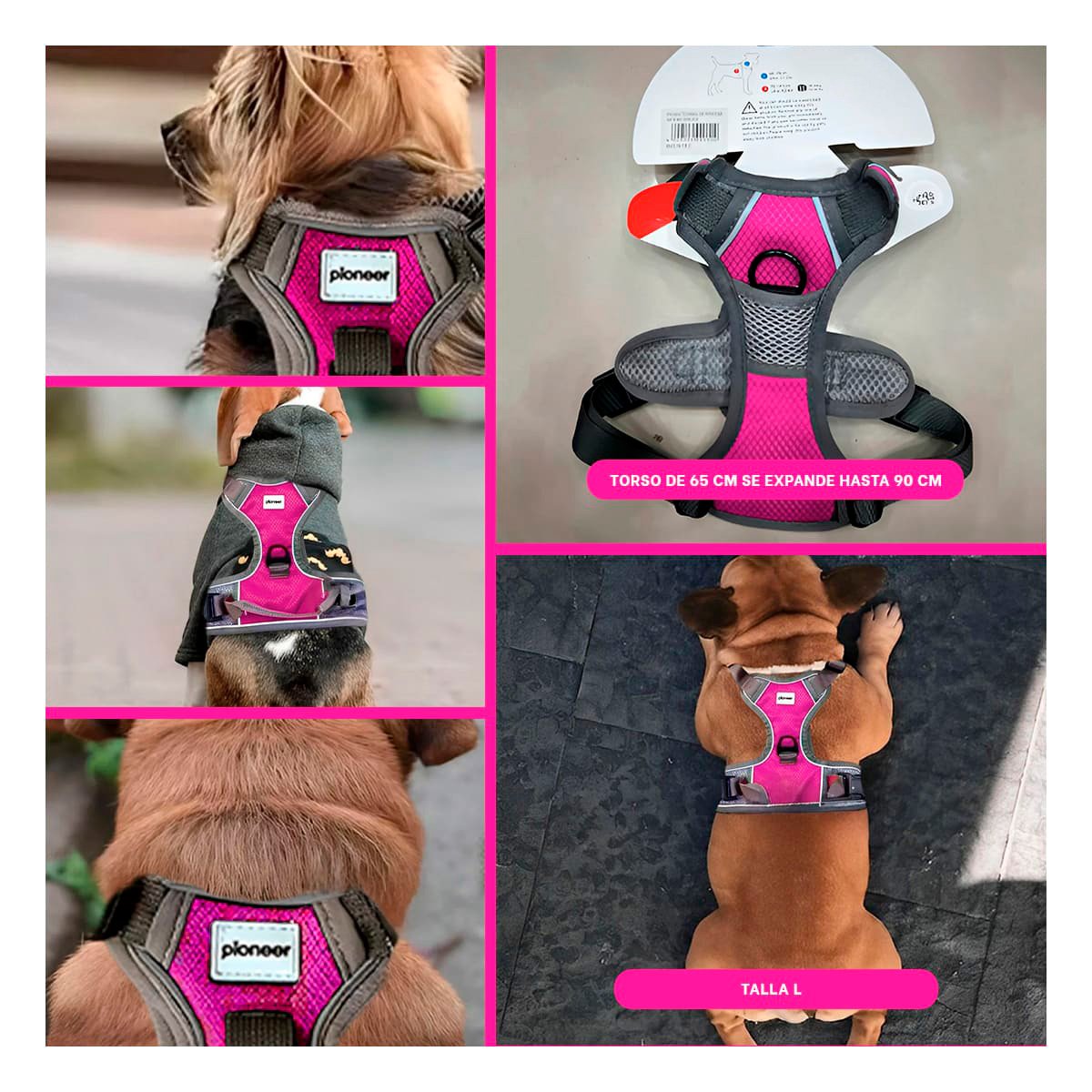 CORREA PARA PERRO FUCSIA TALLA L PECHERA CON DISEÑO MODERNO Y+POST IT - 5