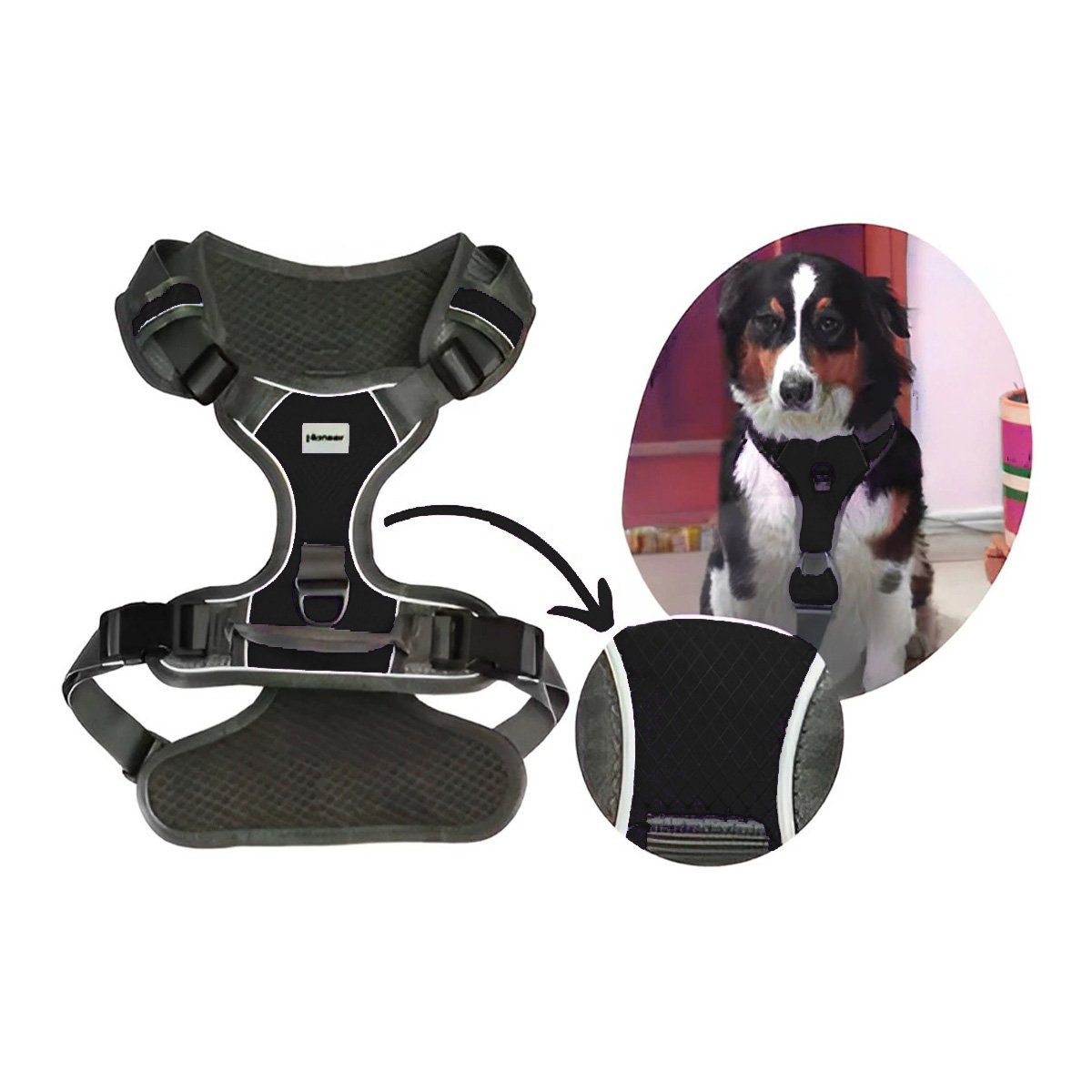 PACK6 CINTURON PARA PERRO NEGRO TALLA M CON AJUSTE RAPIDO Y RESISTENCIA Y+REGALO STICKER - 2
