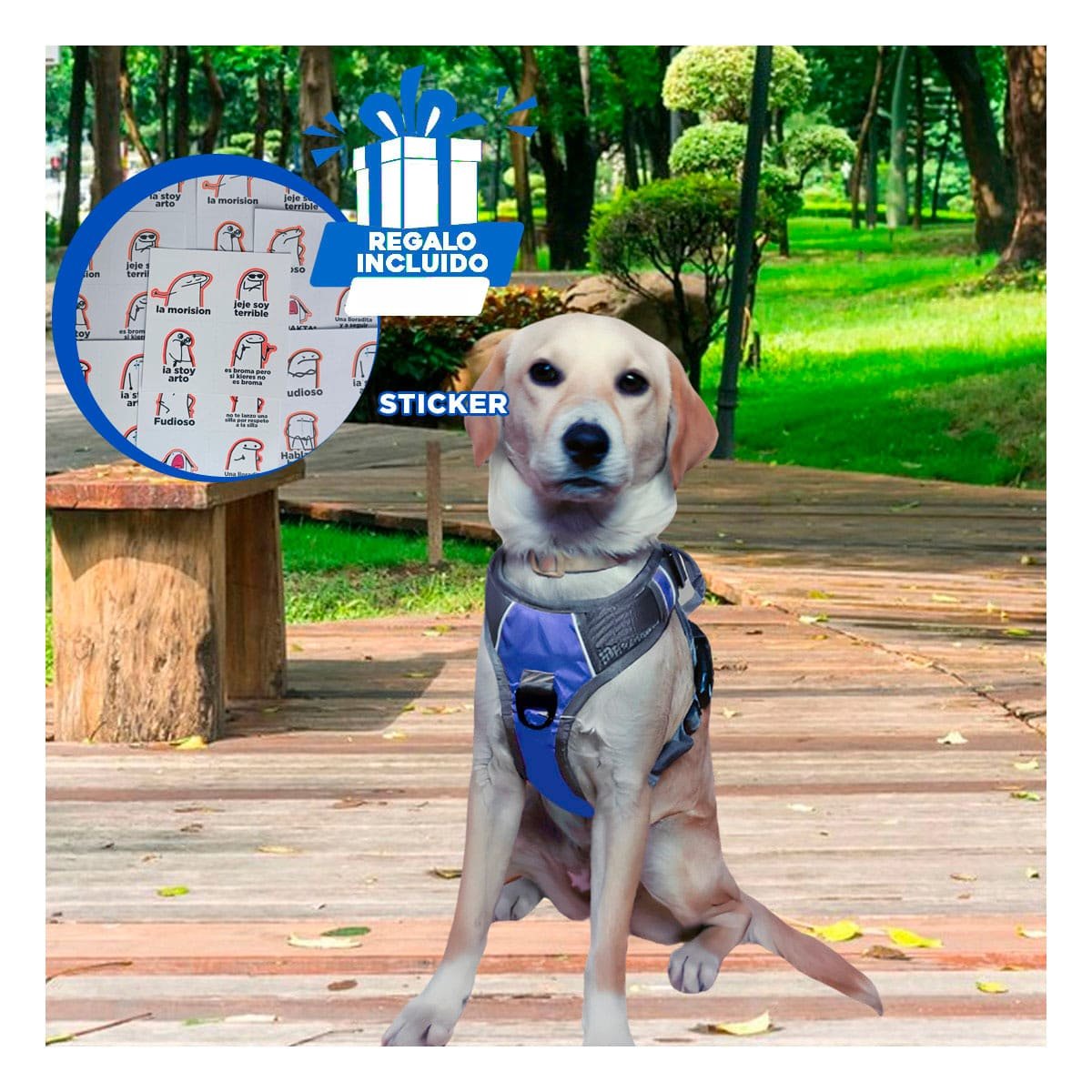 CHALECO PARA PERRO AZUL TALLA XL COMODO Y SEGURO PARA PASEAR Y+REGALO STICKER - 1