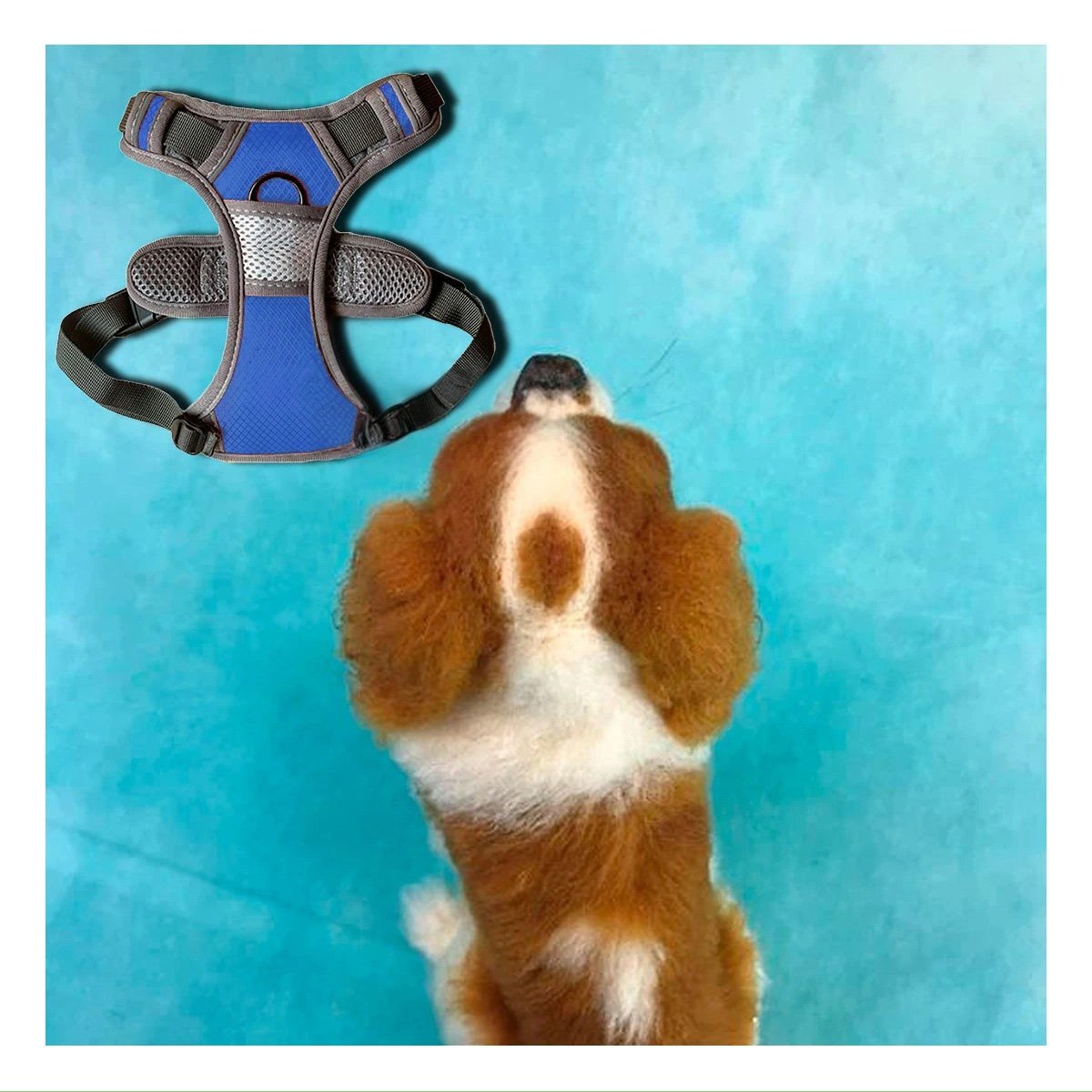 ARNES AJUSTABLE PARA PERRO AZUL TALLA M FACIL DE COLOCAR Y QUITAR Y+REGALO STICKER - 2