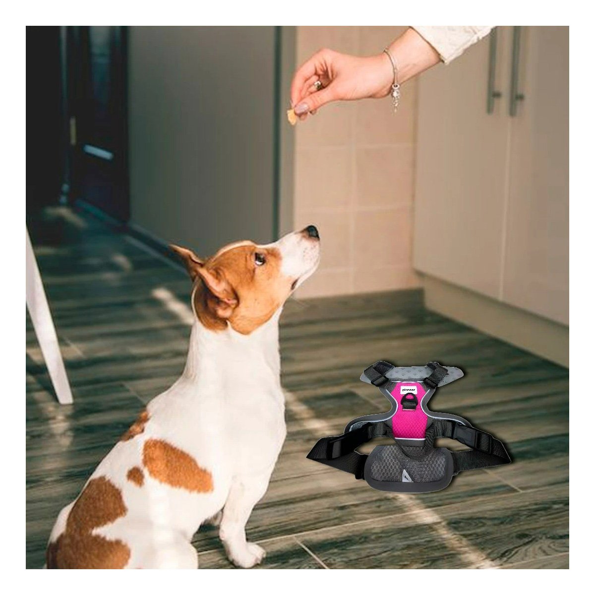 PACK6 PECHERA COMODA FUCSIA PARA PERRO CON MATERIAL SUAVE Y FACIL DE AJUSTAR Y+PAPEL REGALO - 2
