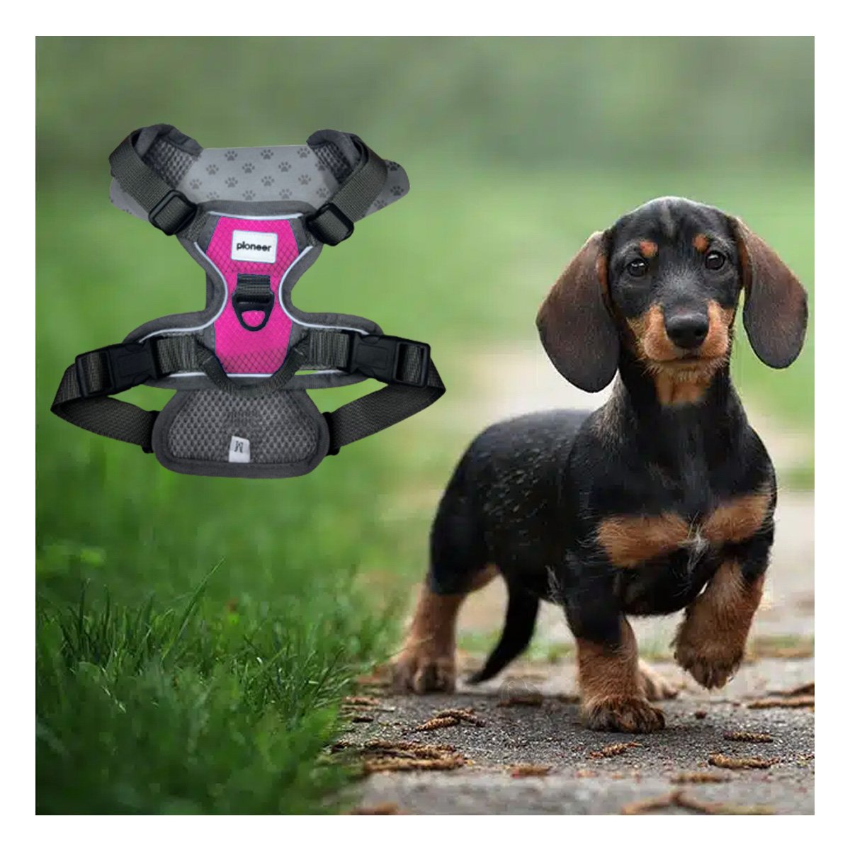 PACK6 PECHERA COMODA FUCSIA PARA PERRO CON MATERIAL SUAVE Y FACIL DE AJUSTAR Y+PAPEL REGALO - 5