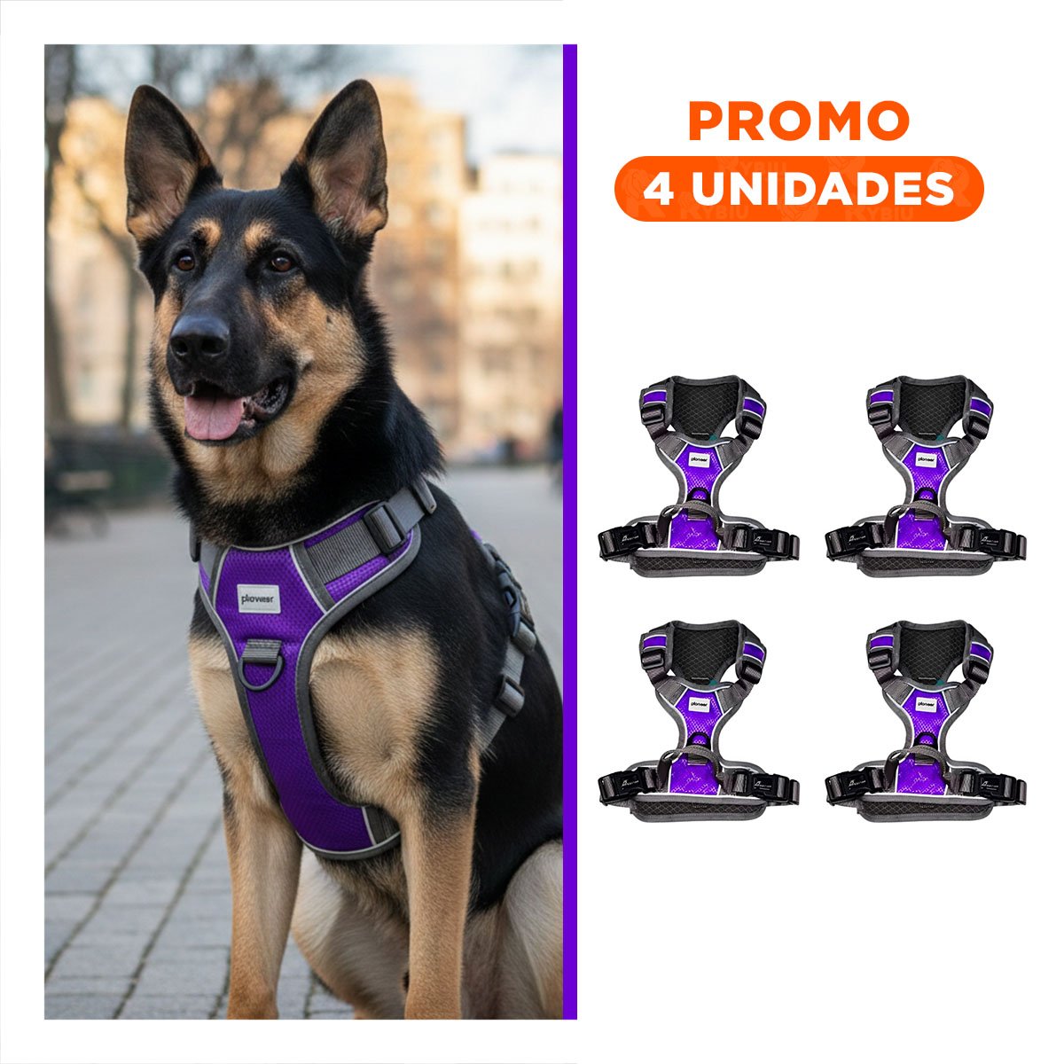 PACK4 EQUIPO PARA PERRO MORADO TALLA XL LIGERO Y SEGURO PARA CAMINATAS Y+REGALO STICKER - 1