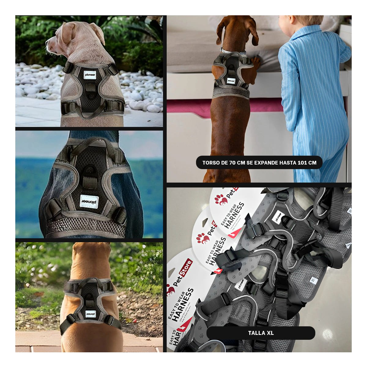 VESTIMENTA CON PECHERA PARA PERRO AJUSTABLE Y FACIL DE COLOCAR - 5
