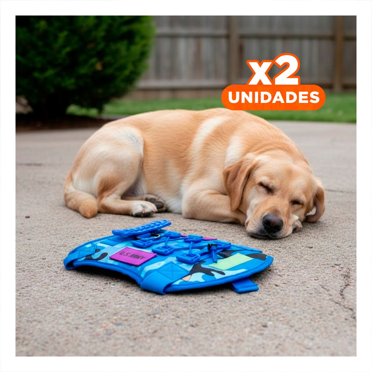 PACK2 ARNES PARA MASCOTA AZUL CON AJUSTE COMODO Y MATERIAL RESISTENTE Y+REGALO STICKER - 1