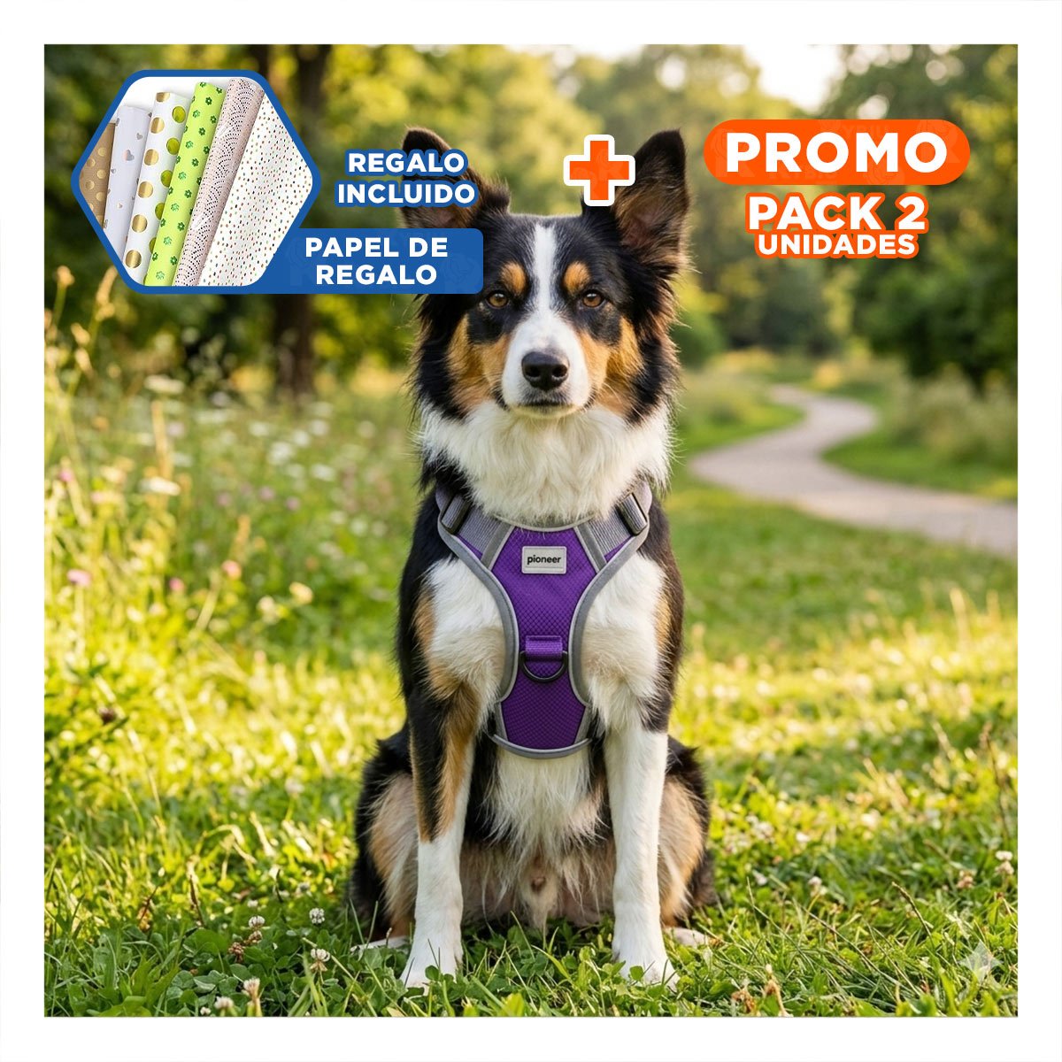 PACK2 SOPORTE DEPORTIVO PARA PERRO MORADO TALLA M FACIL DE COLOCAR Y AJUSTAR Y+PAPEL REGALO - 1