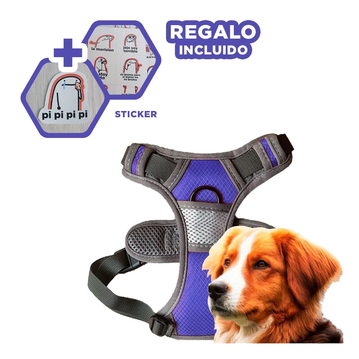 CHALECO AJUSTABLE PARA PERRO MORADO TALLA L SEGURO Y RESISTENTE Y+REGALO STICKER - 1