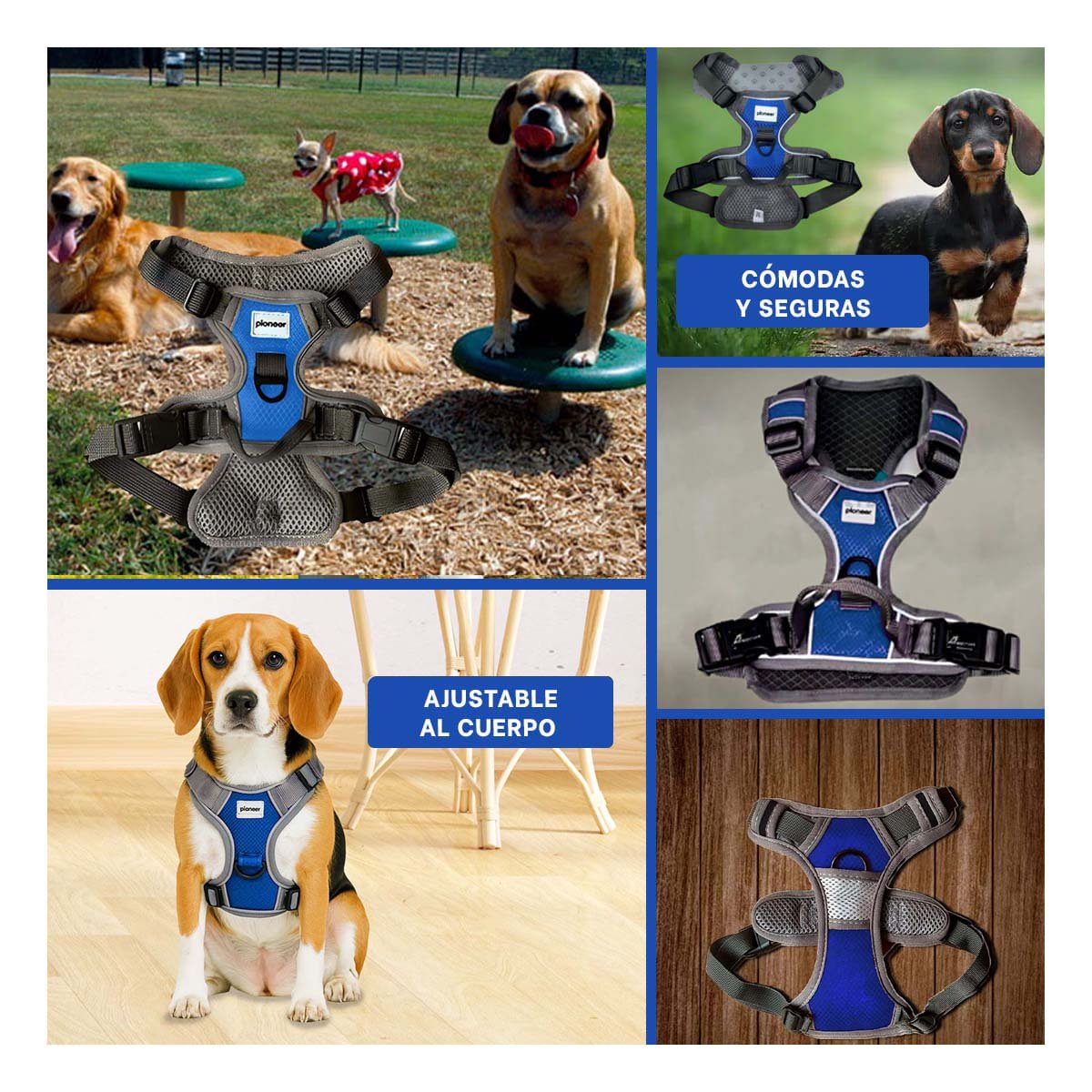PACK6 ARNES REFLECTANTE PARA PERRO AZUL TALLA M VISIBLE Y SEGURO Y+PAPEL REGALO - 3