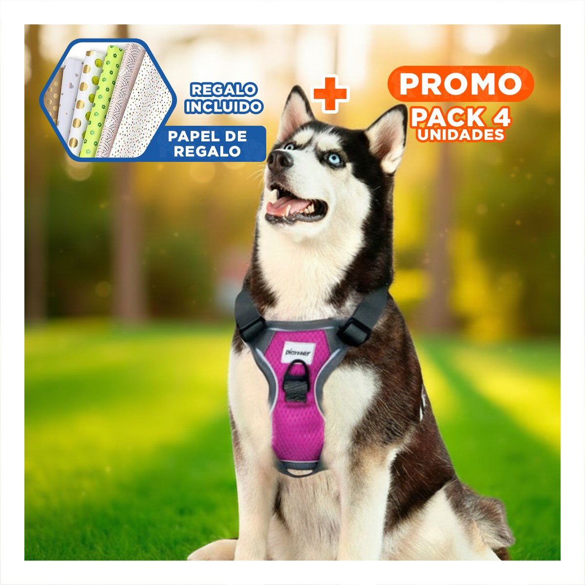 PACK4 CORREA PARA PERRO FUCSIA TALLA L COMODA PARA USO DIARIO Y+PAPEL REGALO - 1