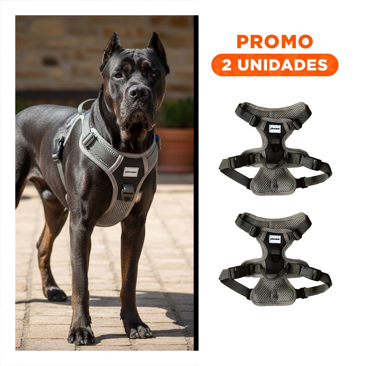 PACK2 ROPA PARA PERRO CON PECHERA NEGRA DE USO DIARIO Y CONFORTABLE - 1