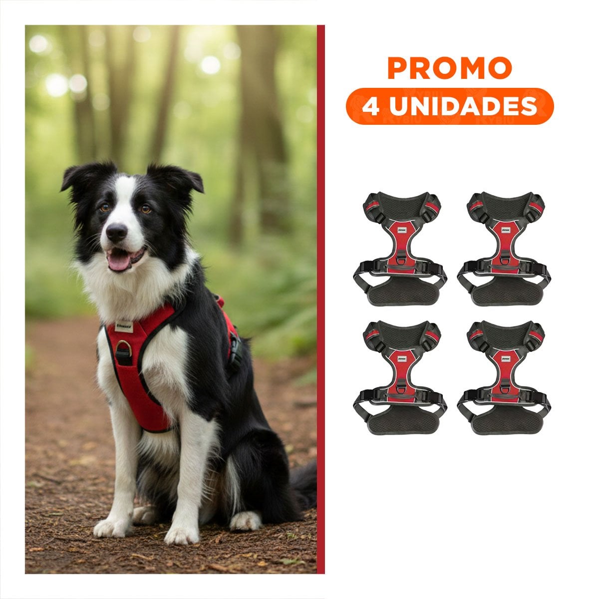 PACK4 CHALECO DEPORTIVO PARA PERRO ROJO TALLA M PASEOS ACTIVOS Y SEGUROS Y+REGALO STICKER - 1