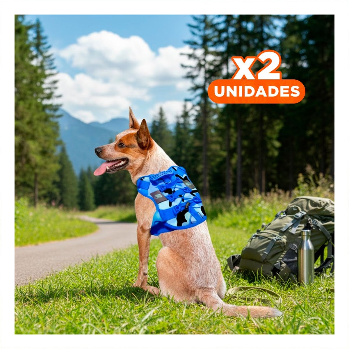PACK2 CHALECO PARA PERRO GRANDE AZUL TACTICO TALLA XL RESISTENTE Y COMODO Y+REGALO STICKER - 1