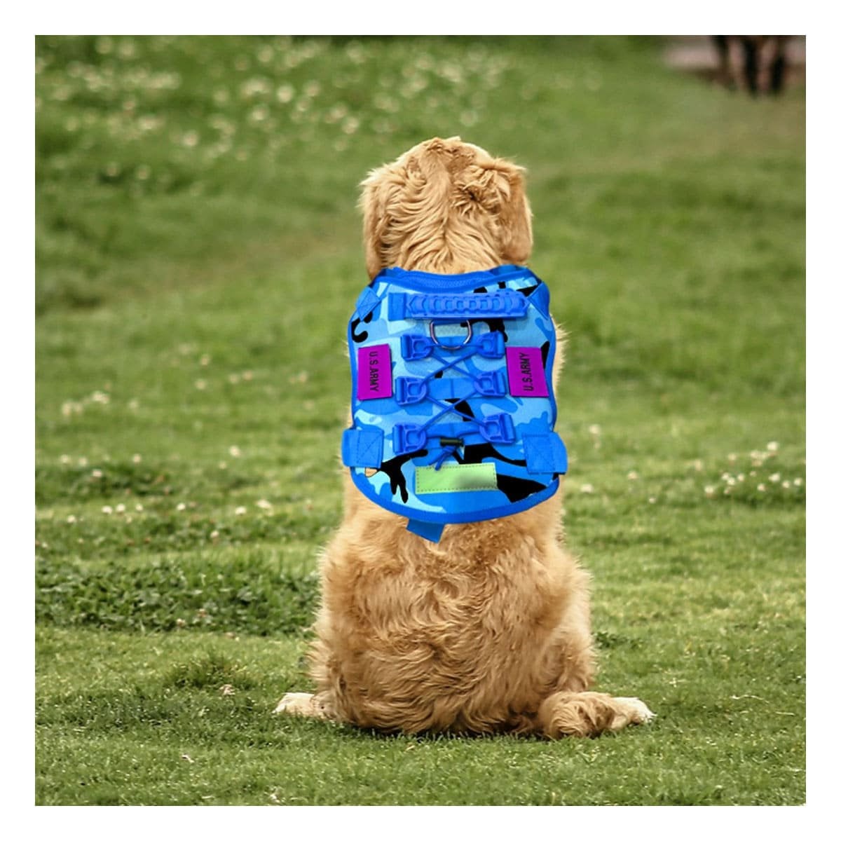 PACK2 CHALECO PARA PERRO GRANDE AZUL TACTICO TALLA XL RESISTENTE Y COMODO Y+REGALO STICKER - 5