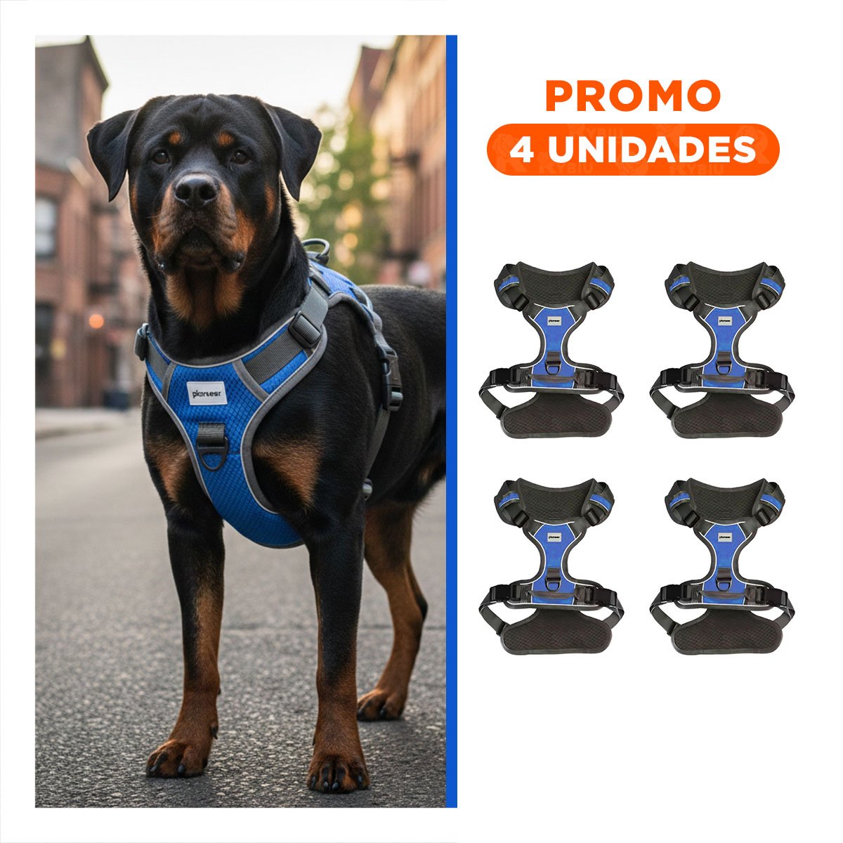 PACK4 EQUIPO PARA PERRO AZUL TALLA XL COMODO Y SEGURO PARA CAMINATA Y+REGALO STICKER - 1
