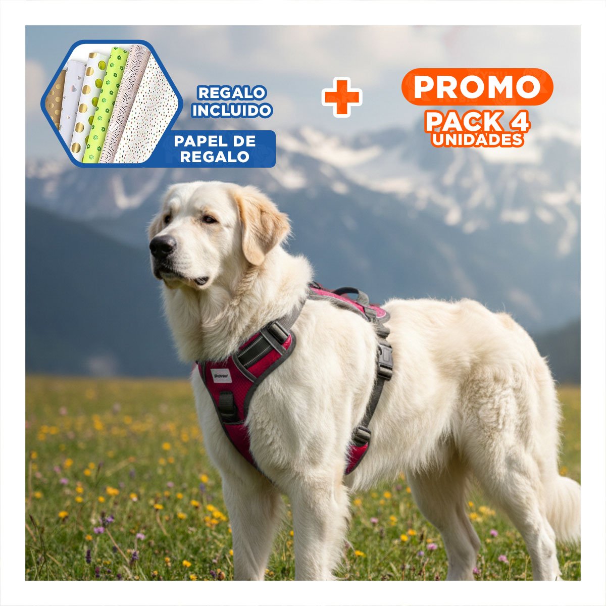 PACK4 PECHERA PARA PERRO CON DISEÑO ERGONOMICO Y MATERIAL DURABLE PARA CAMINATAS Y+PAPEL REGALO - 1