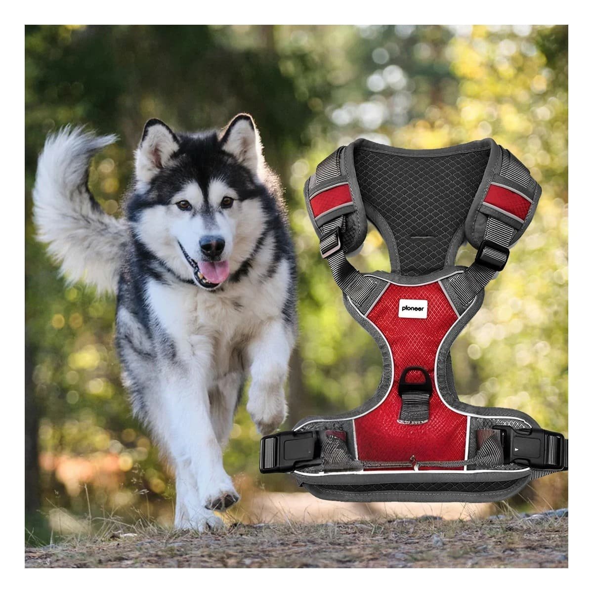 PACK4 PECHERA PARA PERRO CON DISEÑO ERGONOMICO Y MATERIAL DURABLE PARA CAMINATAS Y+PAPEL REGALO - 5