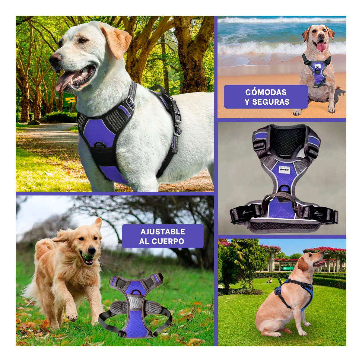 ARNES DE SEGURIDAD PARA PERRO MORADO TALLA L PASEOS TRANQUILOS Y+LIGAS REGALO - 5