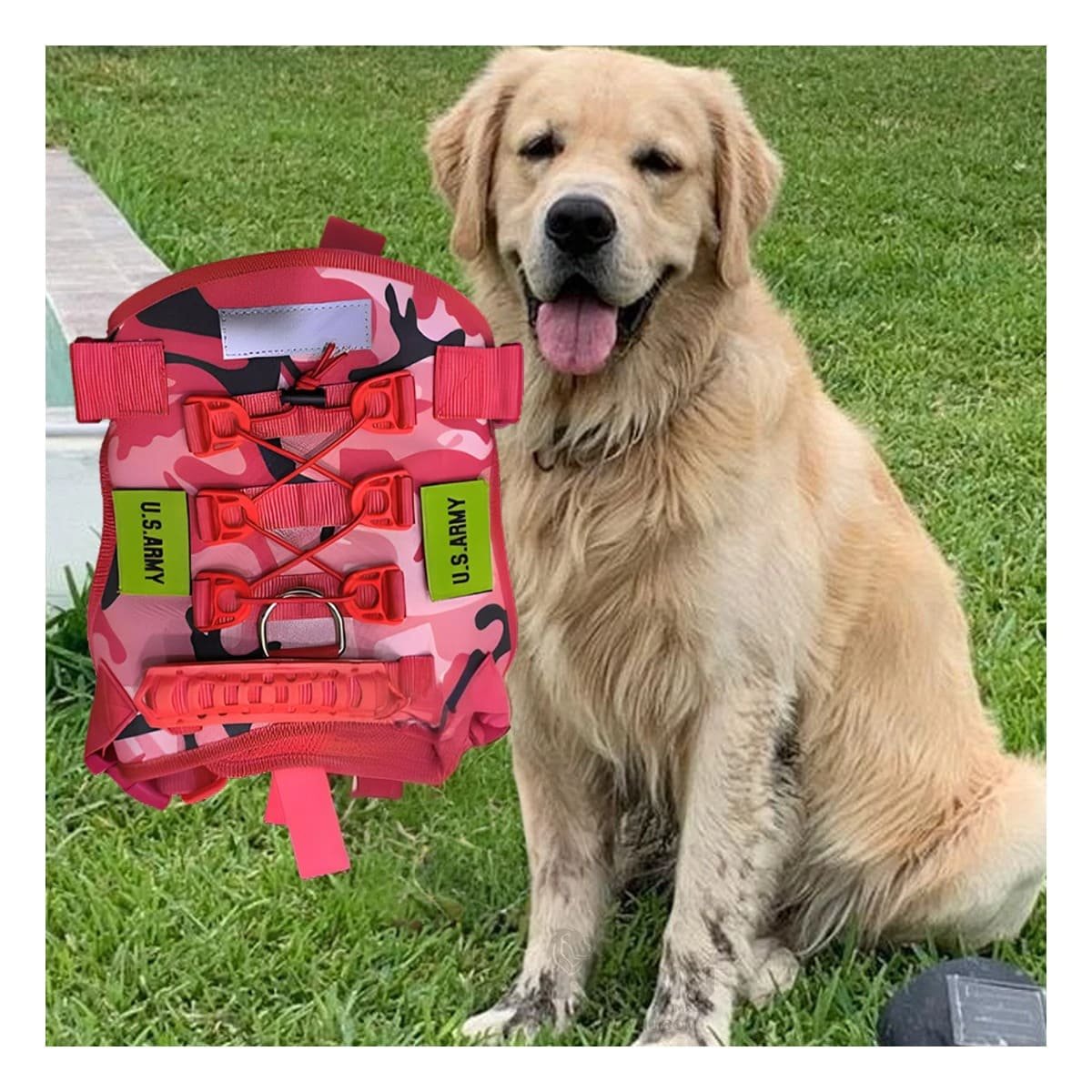 PACK4 EQUIPO PARA PERRO TACTICA ROJO AJUSTABLE Y SEGURO PARA PASEOS DIARIOS Y+REGALO STICKER - 3