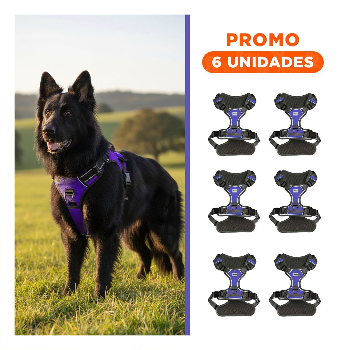 PACK6 PECHERA AJUSTABLE PARA PERRO MORADO TALLA L MATERIAL SUAVE Y+REGALO STICKER - 1