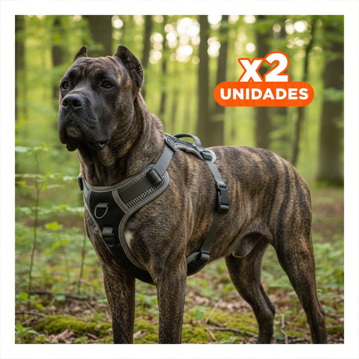 PACK2 SUPLEMENTO PARA PERRO CON AJUSTE COMODO Y SEGURO PARA PASEO Y+REGALO STICKER - 1