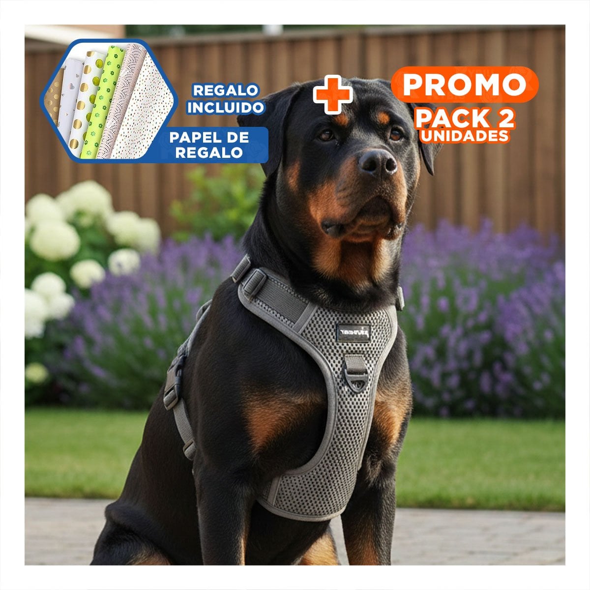 PACK2 DISENO PARA PERRO CON PECHERA AJUSTABLE Y MATERIAL DURADERO Y+PAPEL REGALO - 1
