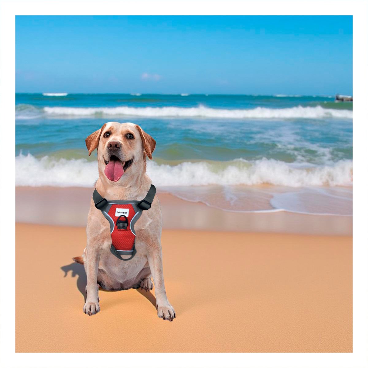 CHALECO PARA MASCOTA ROJO TALLA L FACIL DE COLOCAR Y+REGALO STICKER - 2