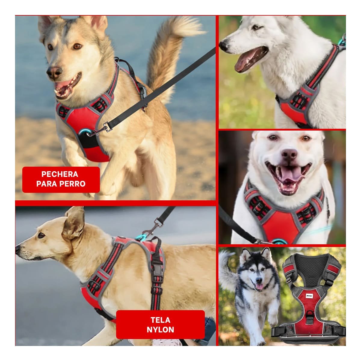 PACK2 PECHERA PARA MASCOTA CON MATERIAL RESISTENTE Y AJUSTE FACIL PARA PASEOS Y+PAPEL REGALO - 3