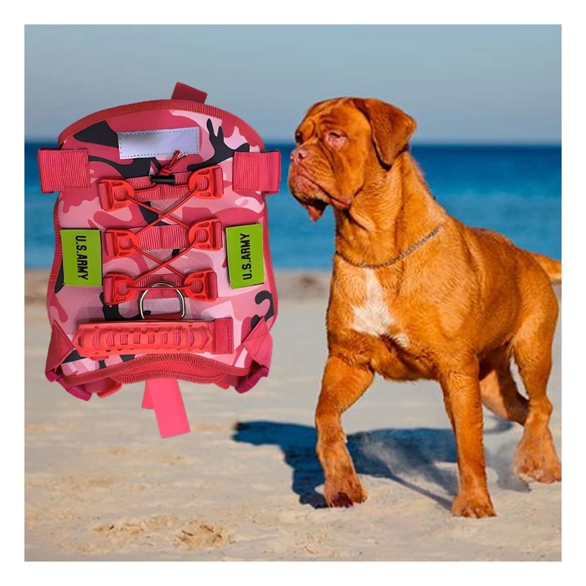 EQUIPO PARA PERRO TACTICO ROJO COMODO Y SEGURO PARA SALIDAS AL EXTERIOR - 2