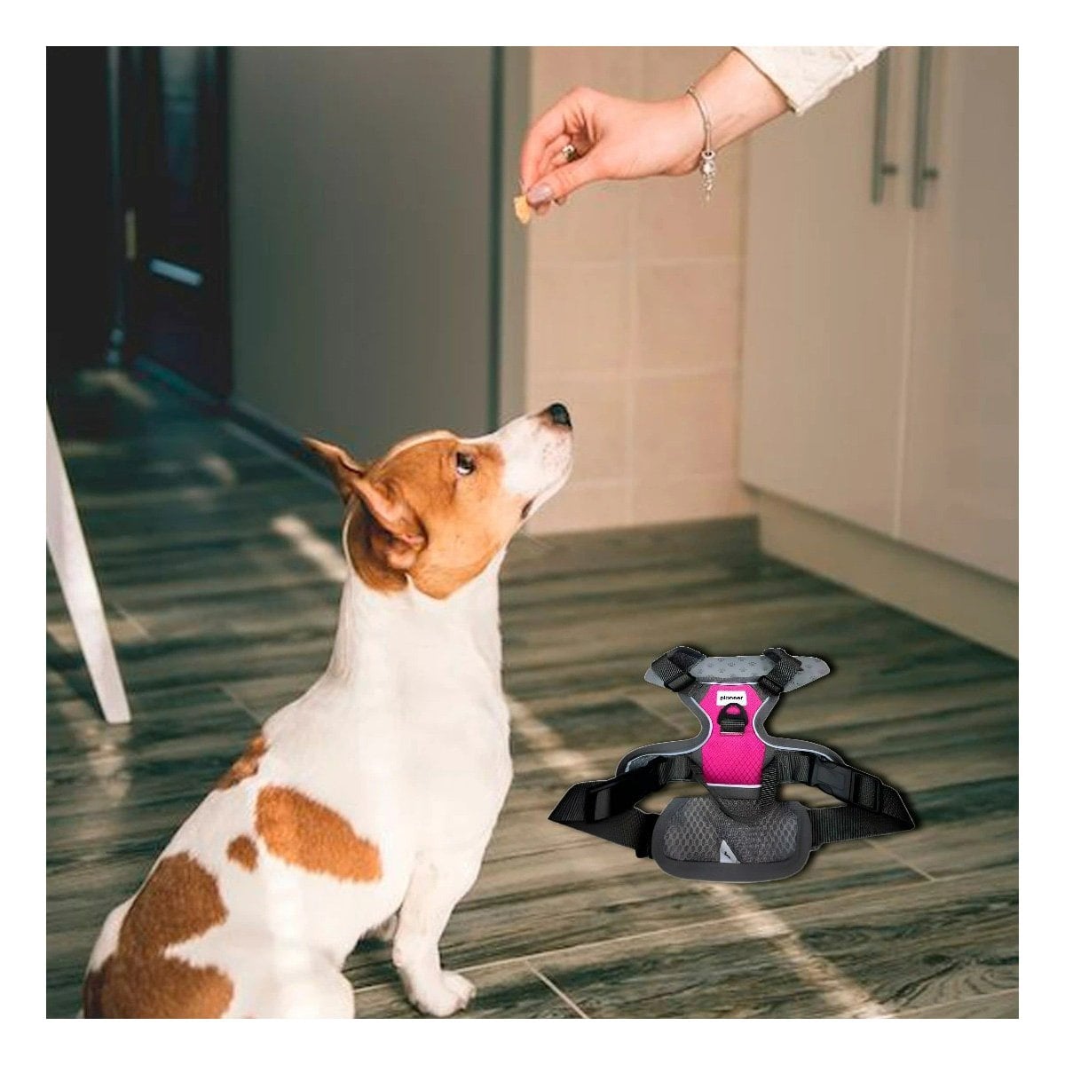 CORREA COMODA FUCSIA PARA PERRO CON PECHERA INTEGRADA Y AJUSTE FACIL Y+POST IT - 2