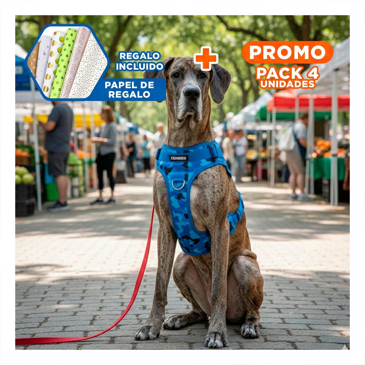 PACK4 CINTURON PARA PERRO GRANDE AZUL TACTICO TALLA XL CON AJUSTE COMODO Y+PAPEL REGALO - 1