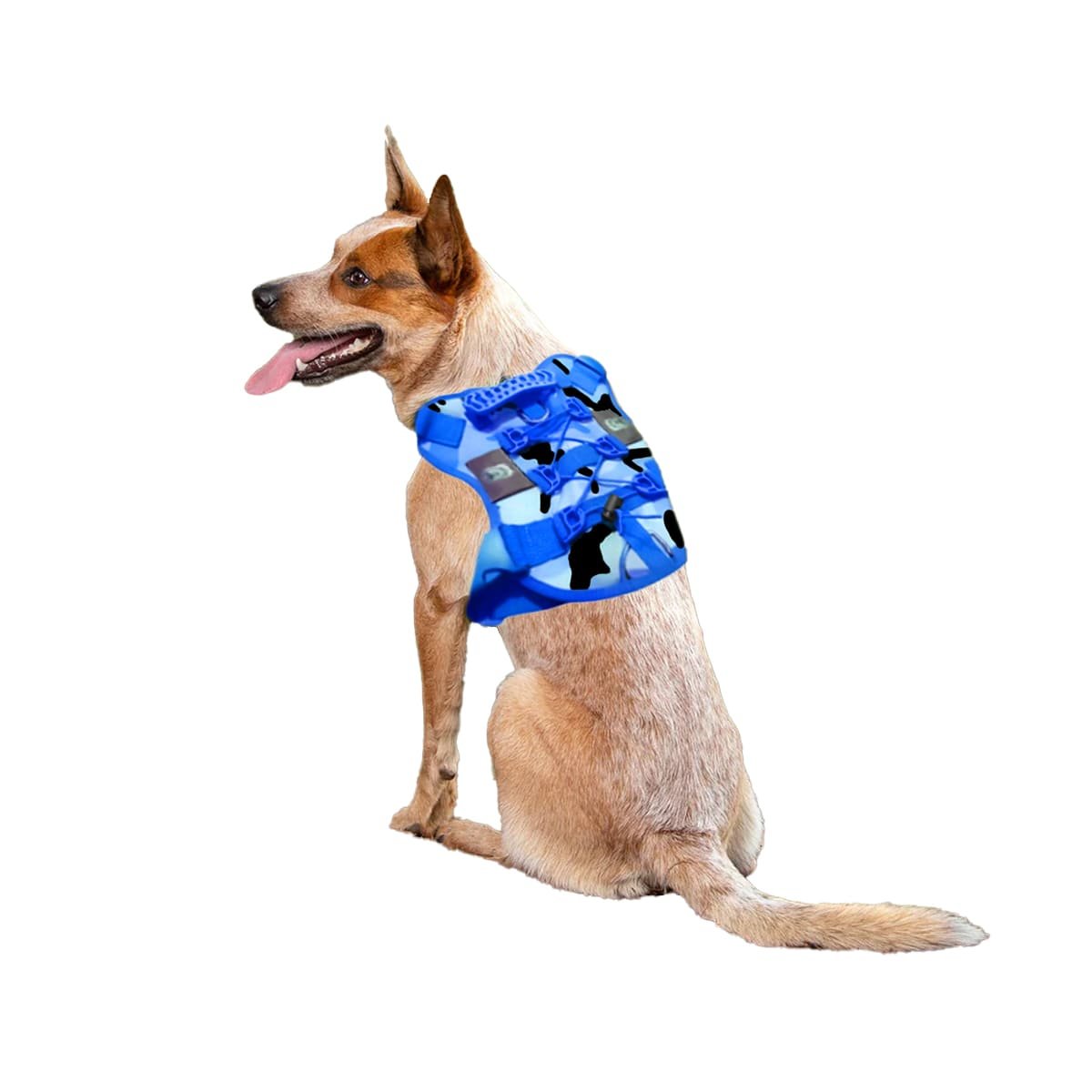 PACK4 CINTURON PARA PERRO GRANDE AZUL TACTICO TALLA XL CON AJUSTE COMODO Y+PAPEL REGALO - 3