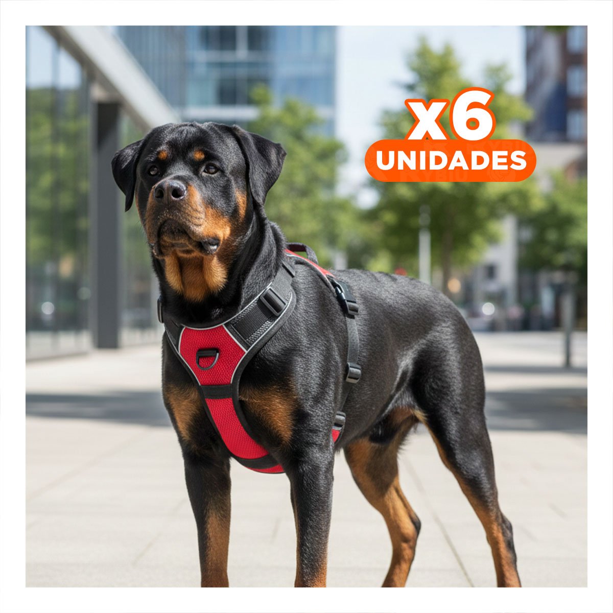 PACK6 SOPORTE PARA CACHORRO ROJO PECHERA TALLA L RESISTENTE Y SUAVE Y+REGALO STICKER - 1