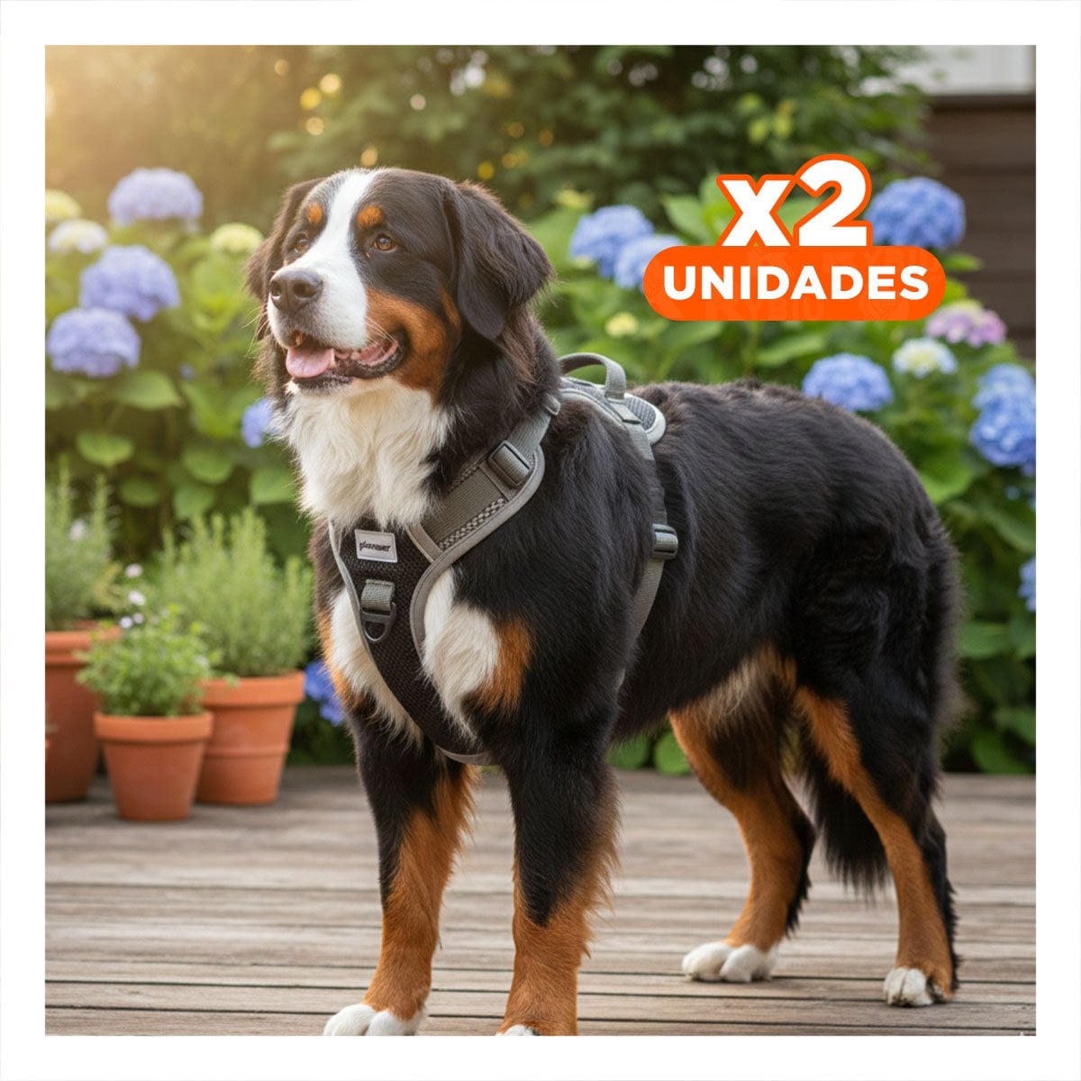 PACK2 CHALECO PARA PERRO NEGRO TALLA L CON MATERIAL DURADERO Y CONFORTABLE Y+REGALO STICKER - 1