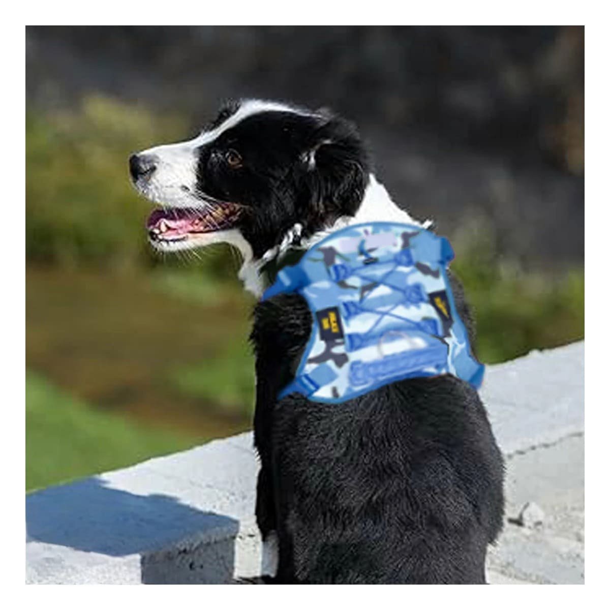 PACK2 EQUIPO PARA CACHORRO AZUL TACTICO TALLA XL COMODO Y DURABLE PARA USO DIARIO - 2