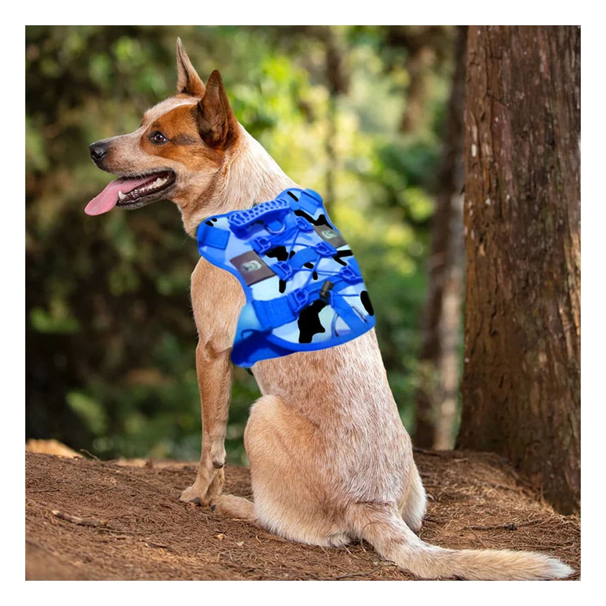 PACK2 EQUIPO PARA CACHORRO AZUL TACTICO TALLA XL COMODO Y DURABLE PARA USO DIARIO - 5